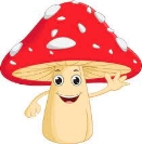 Mushroom Cartoon Images – Browse 96,874 Stock Photos, Vectors, and Video |  Adobe Stock
